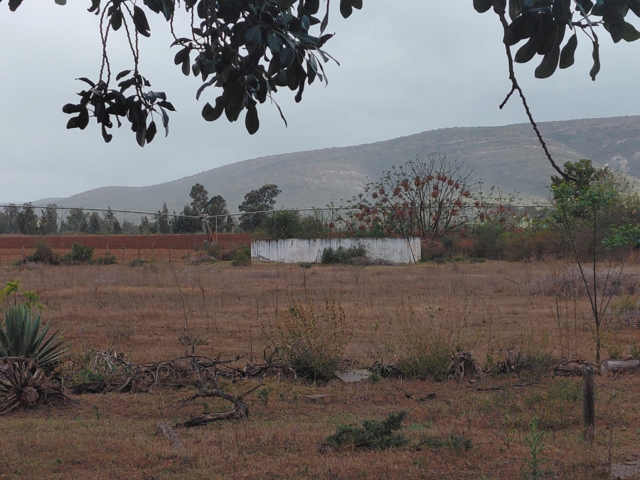 Commercial Property for Sale in Kruisrivier Eastern Cape